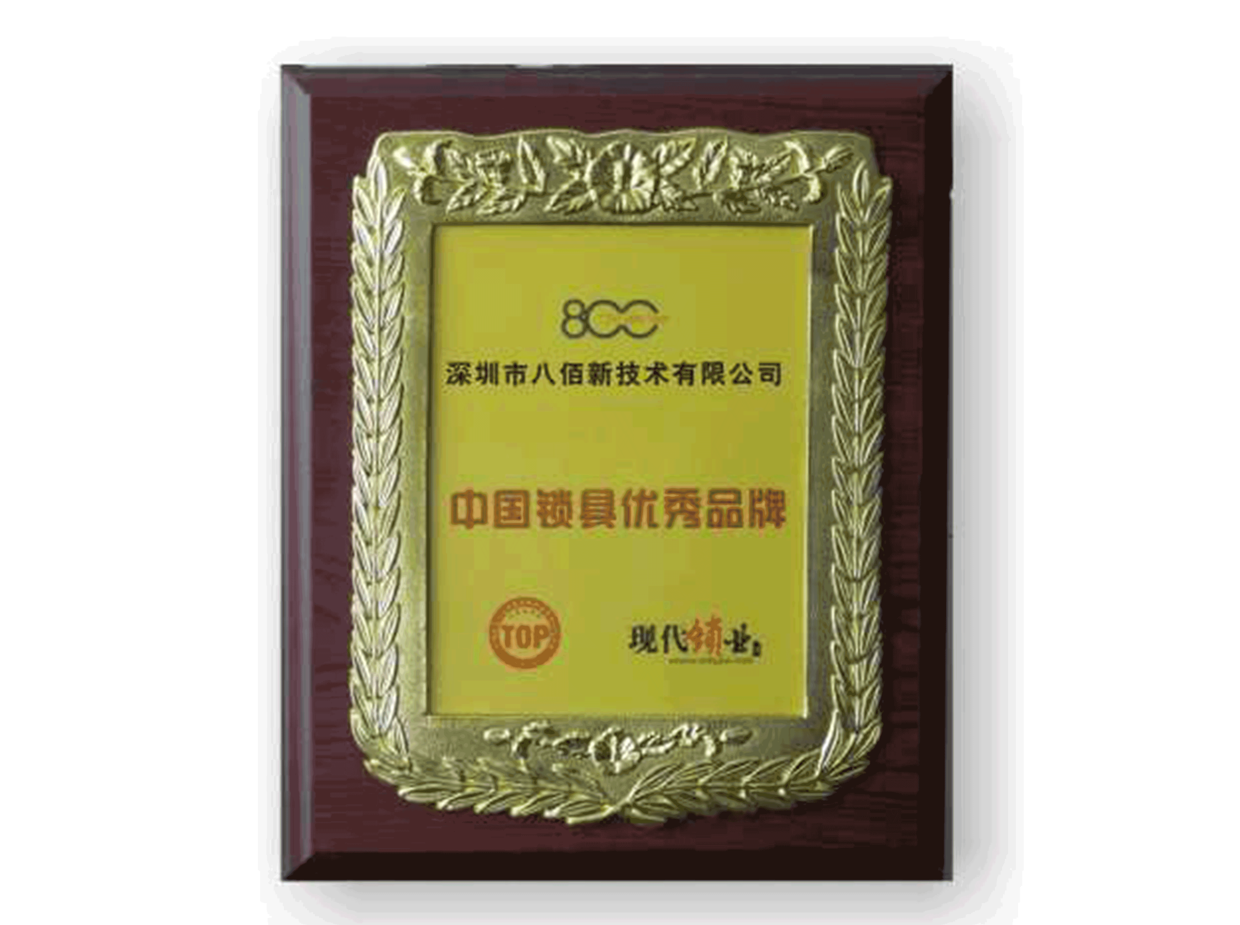 中国锁具优秀品牌